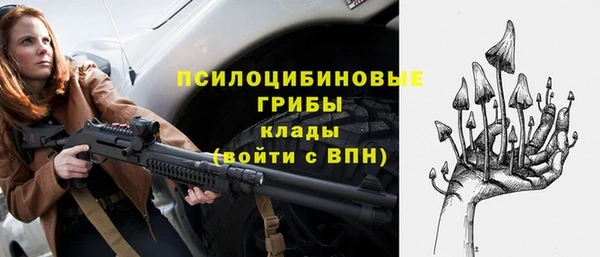 дмт Бугульма
