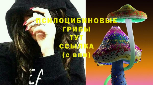 прущая мука Саяногорск