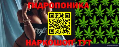 меф Дубна