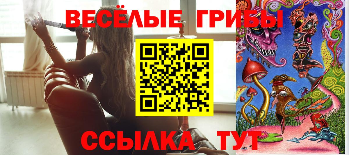 магазин продажи   Вход с VPN  Медногорск  Галлюциногенные грибы прущие грибы  Псилоцибиновые грибы MAGIC MUSHROOMS 