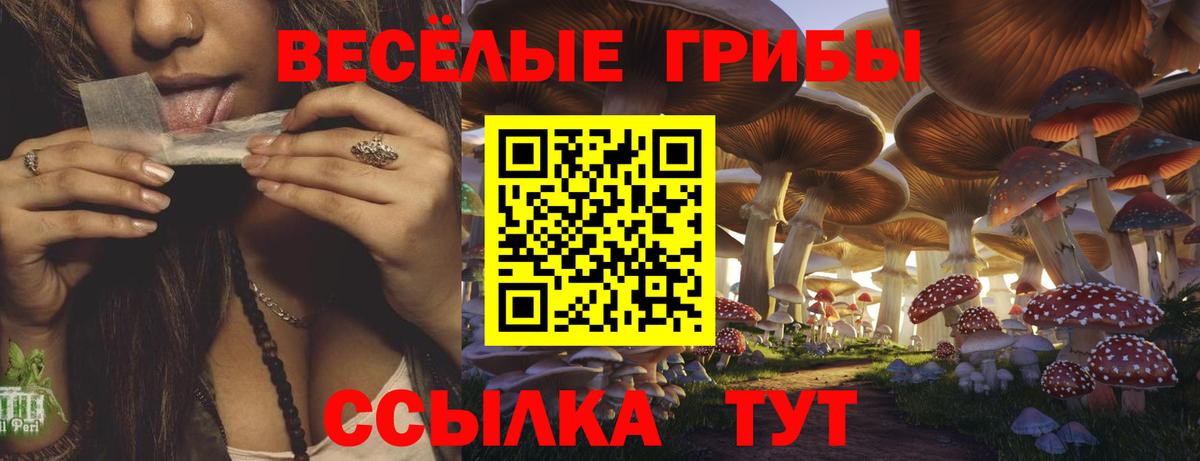 Галлюциногенные грибы мицелий Медногорск